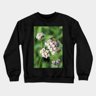 Hoverflies feeding on Valerian Crewneck Sweatshirt